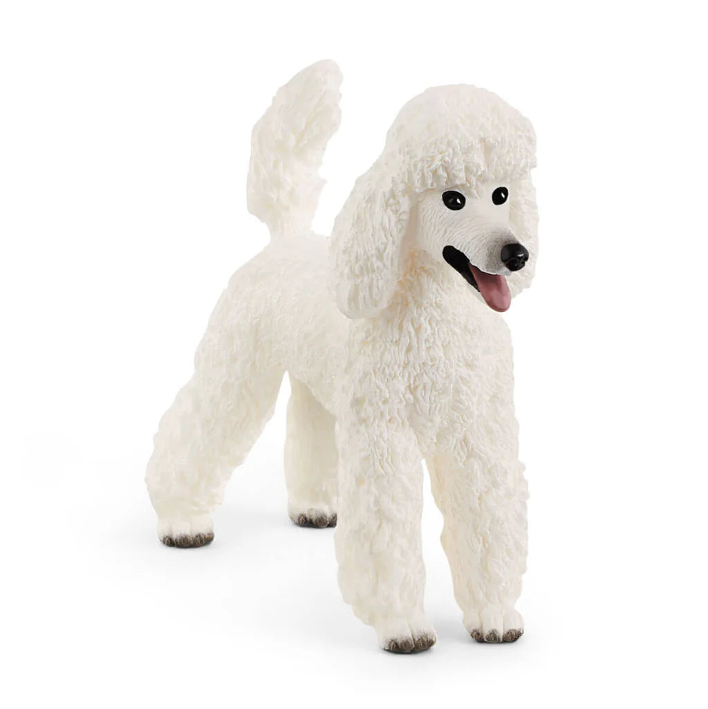 Schleich - Poodle 13917