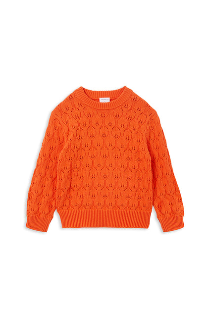 Tangello Knit Jumper