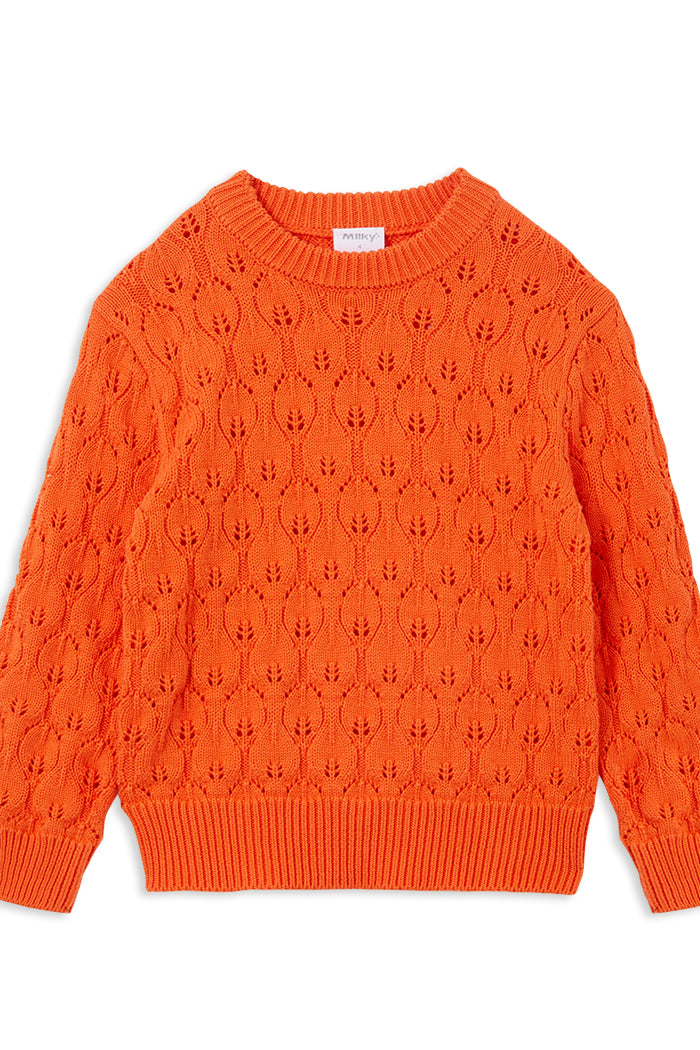 Tangello Knit Jumper