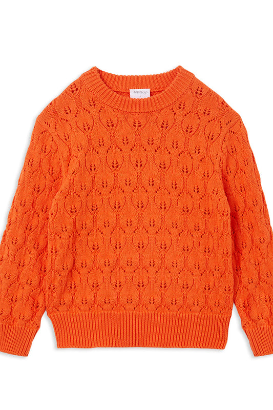 Tangello Knit Jumper 8-12yr