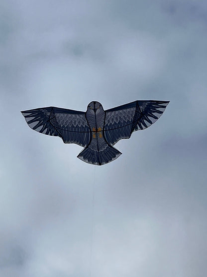 High as a Kite - Super Eagle Kite