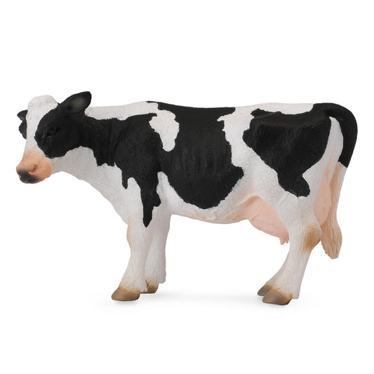 Friesian Cow