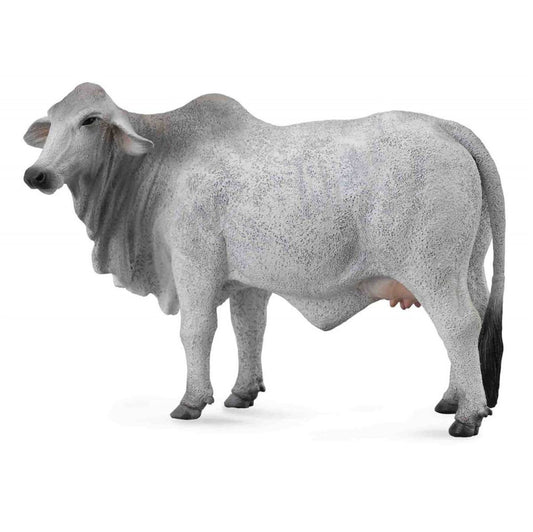 COLLECTA - Brahman Cow Grey