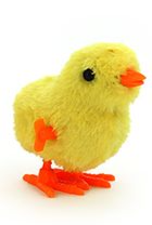 Wind up Chicken