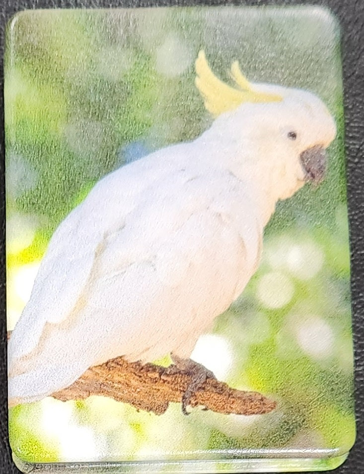 Australian Bird Makeup Mirror