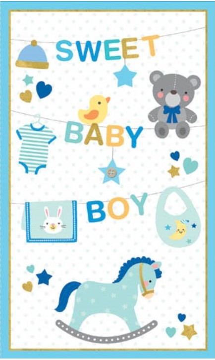 Sweet Baby Boy Card