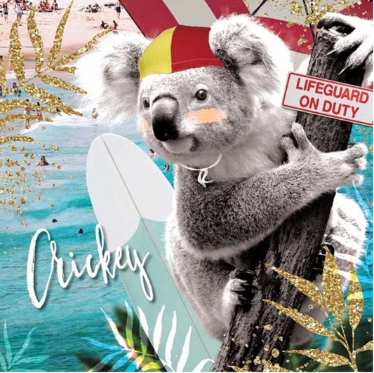 Crickey Koala Card Blank