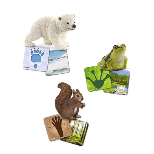 Schleich- Wild Life Flash Cards SC42474