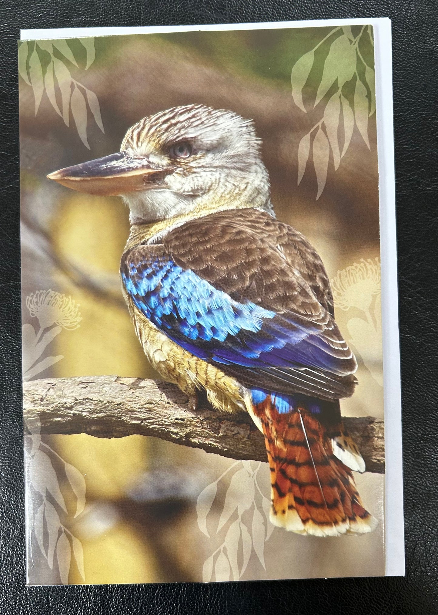 Card- Kookaburra