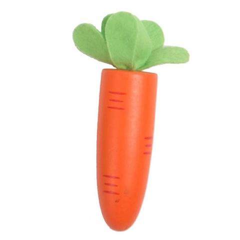 Toyslink - Carrot