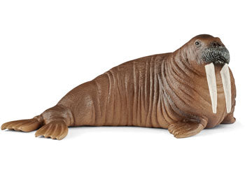 Schleich - Walrus SC14803